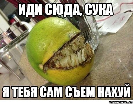 Иди сюда, сука я тебя сам съем нахуй