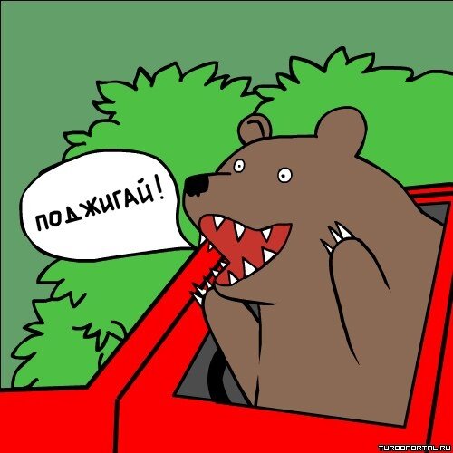 Медведь кричит - Поджигай!