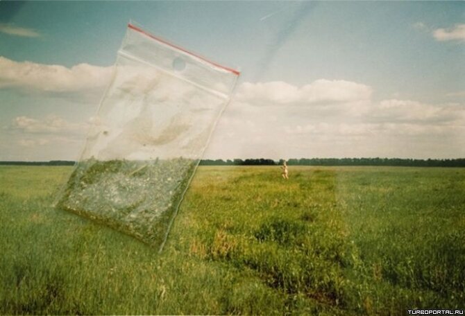Пакетик травы на фотографии с полем