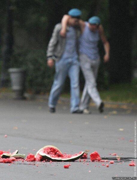 ВДВ приколы (фотоподборка)
