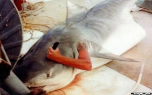 Мужчина которого проглотила акула (фото)