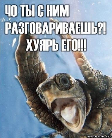 Что ты с ним разговариваешь?! Хуярь его!!!