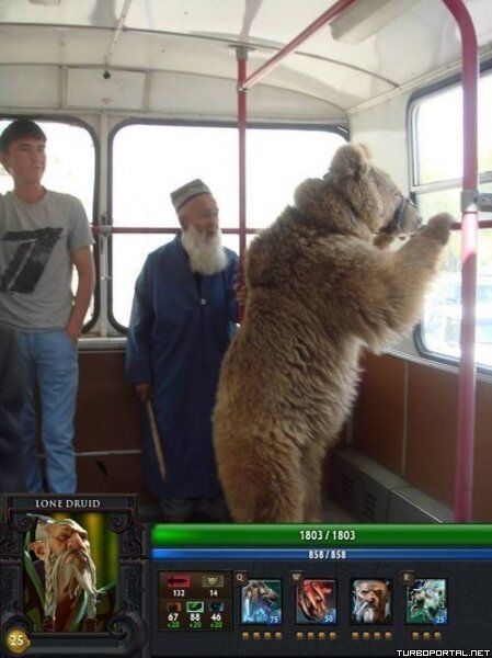 Старик с медведем в автобусе - Lone Druid