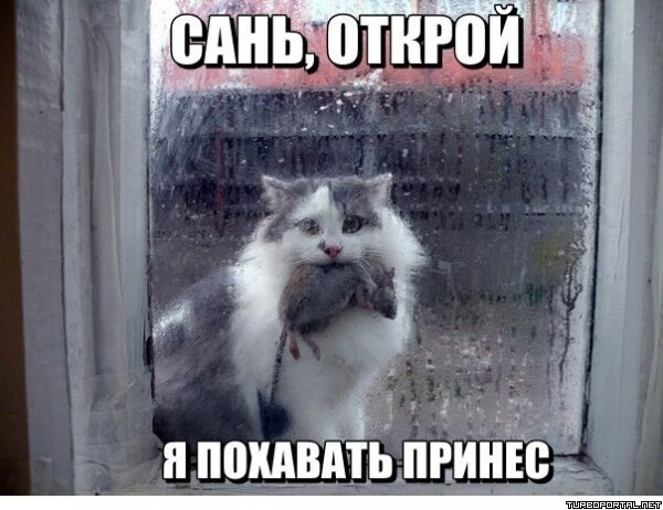 Сань, открой я похавать принес