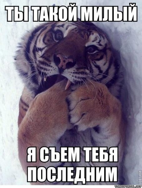Ты такой милый я съем тебя последним