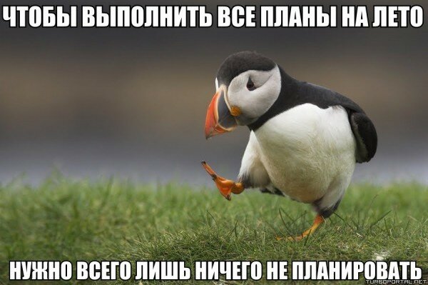 Картинки с текстом (14.06.2014)