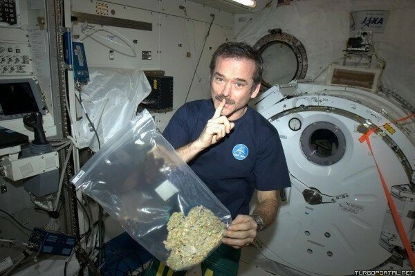 Космонавт с пакетом травы (шаблон)