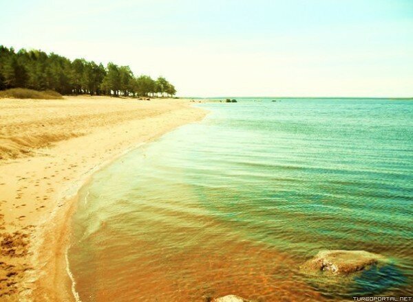 30 пляжей Ленинградской области, где можно позагорать