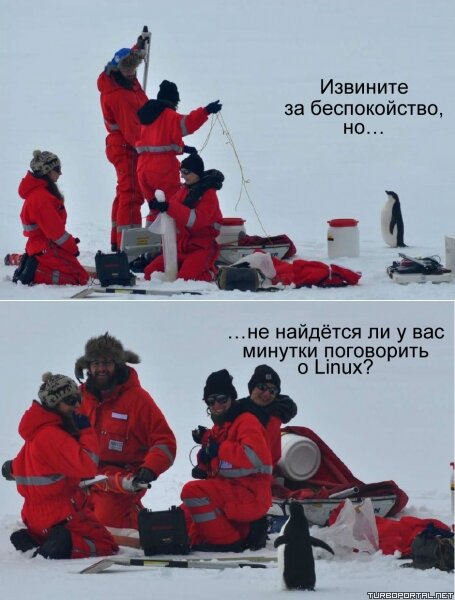 Пингвин хочет поговорить о Linux