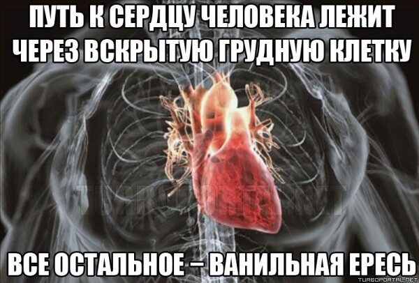 Путь к сердцу человека лежит через вскрытую грудную клетку, всё остальное — ванильная ересь