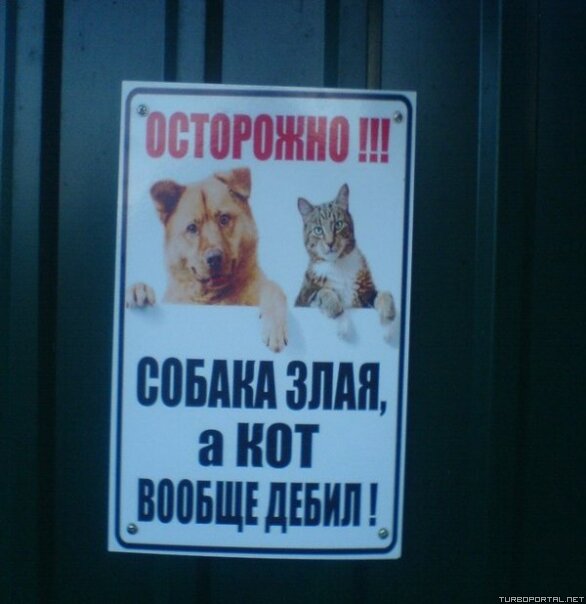 Осторожно!!! Собака злая, а кот вообще дебил!