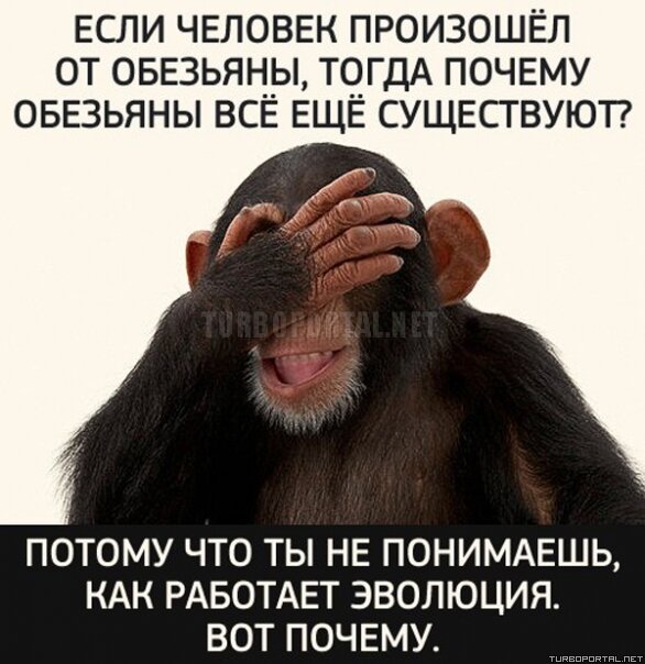 — Если человек произошел от обезьяны, тогда почему обезьяны всё ещё существуют? — Потому что ты не понимаешь, как работает эволюция. Вот почему.
